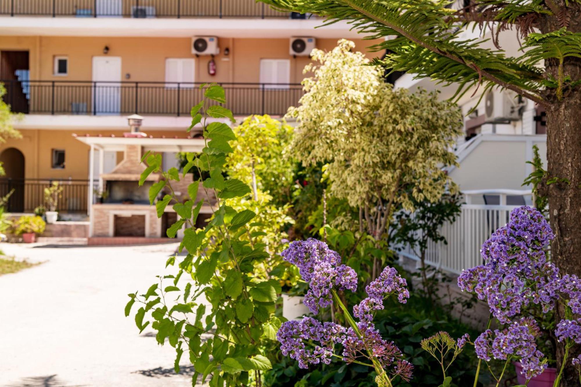 Anthi Studios & Apartments Alykes  Buitenkant foto